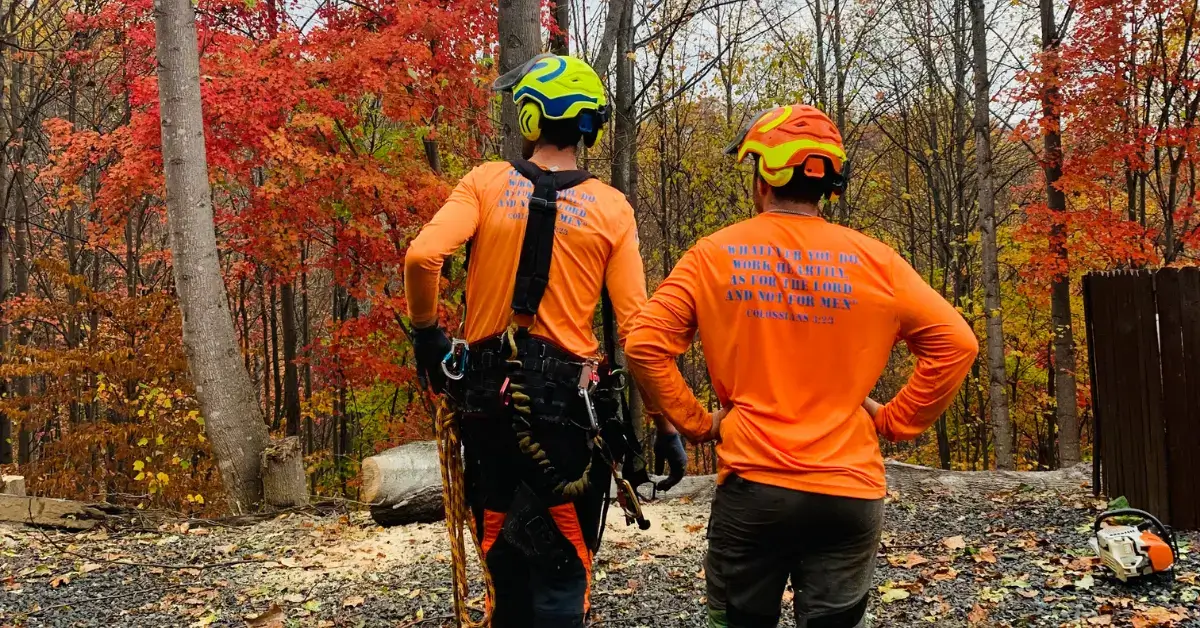 Two arborists in orange safety gear and hard hats standing in a gravel clearing within an autumn forest, assessing site conditions and tree risk