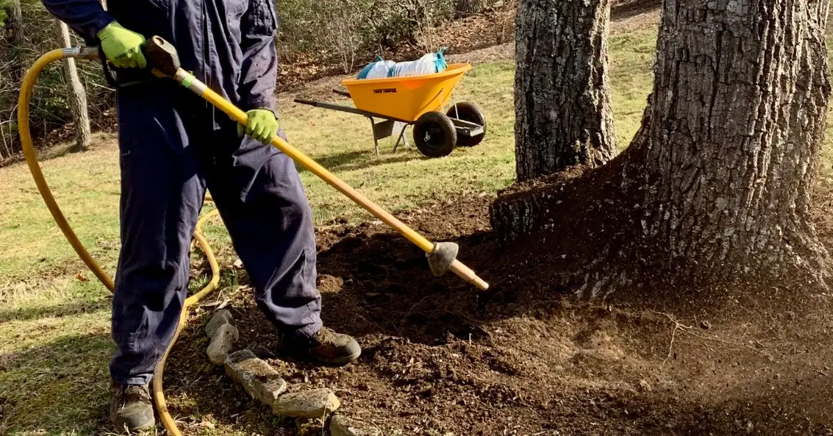 Arborist in high-visibility gear using a tool to excavate soil from around a tree's root collar beside a yellow wheelbarrow, demonstrating root-zone excavation like Airspade pneumatic services